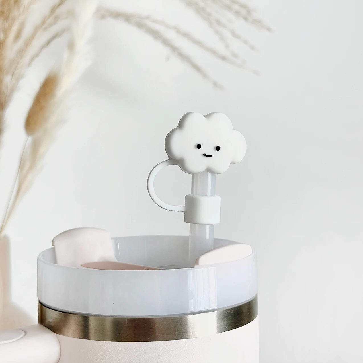 Tumblers & Accessories
