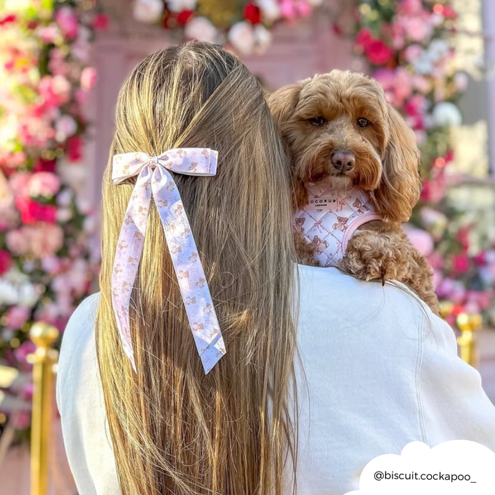 Ribbon Bow Clip - Thea Teddy