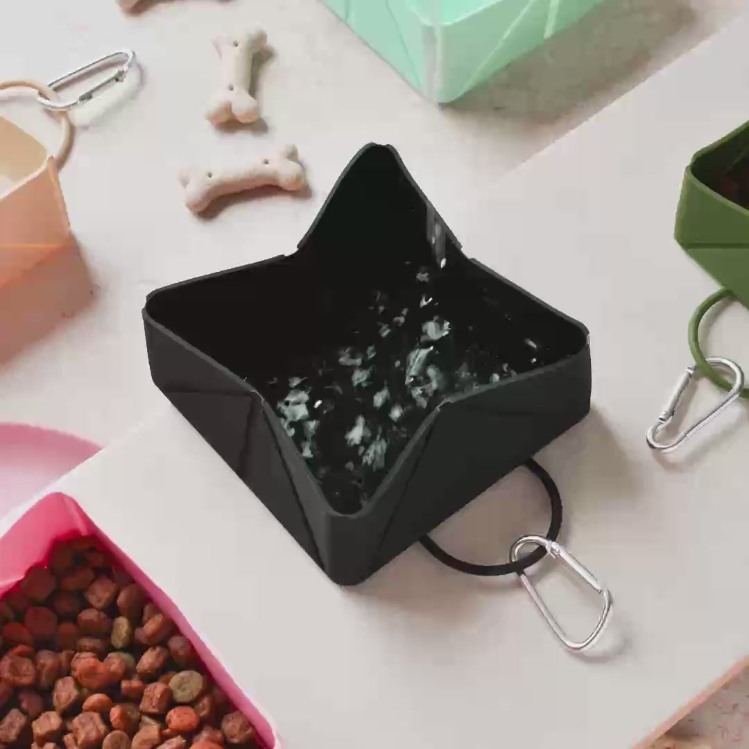Foldable Travel Bowl by Cocopup - Black
